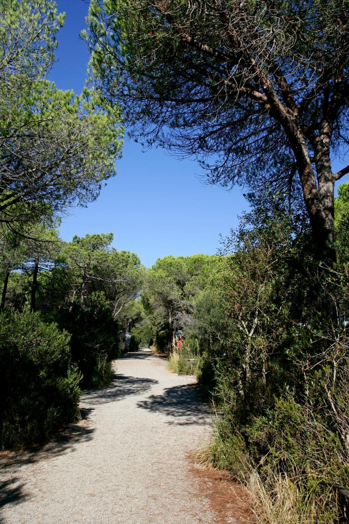 Camping Maremma Sans Souci Castiglione della Pescaia Dış mekan fotoğraf