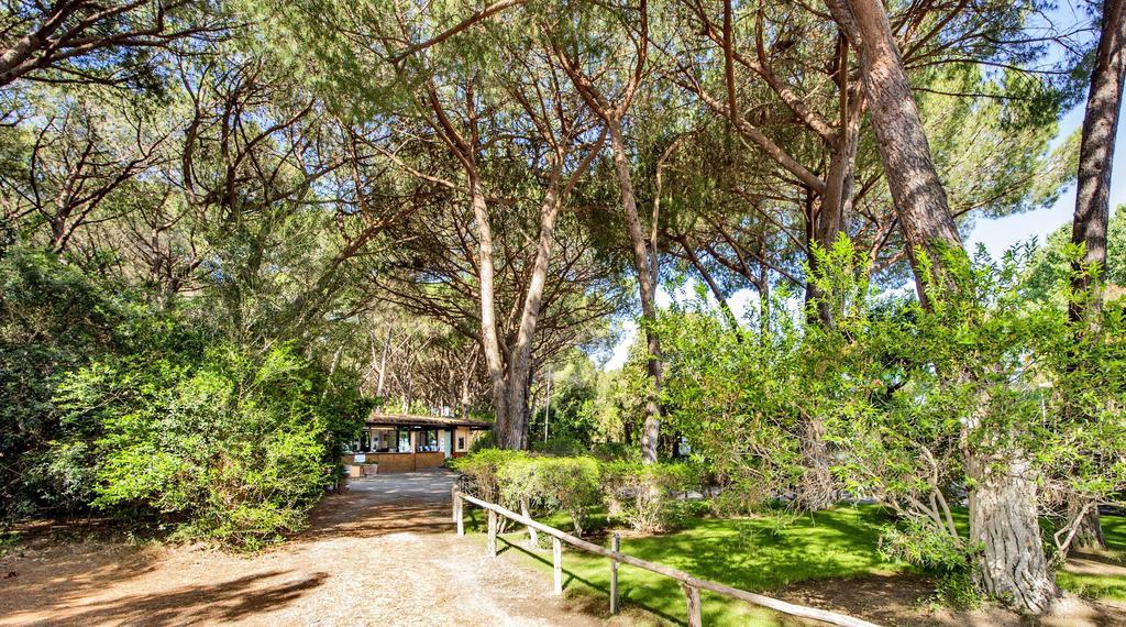 Camping Maremma Sans Souci Castiglione della Pescaia Dış mekan fotoğraf